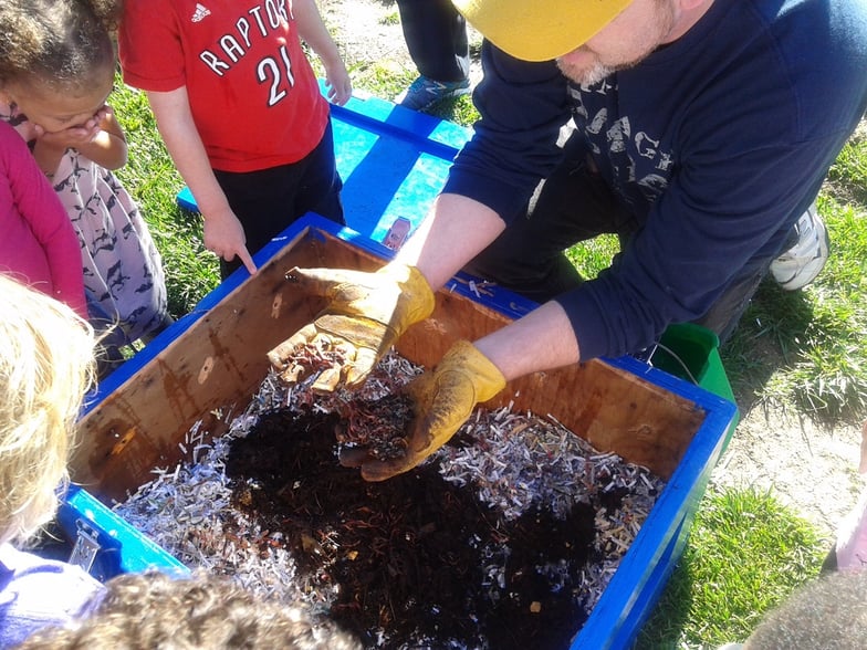 Compost bin (20).jpg