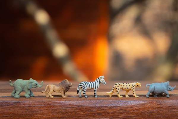 sorting toy animals introduces basic math concepts to children