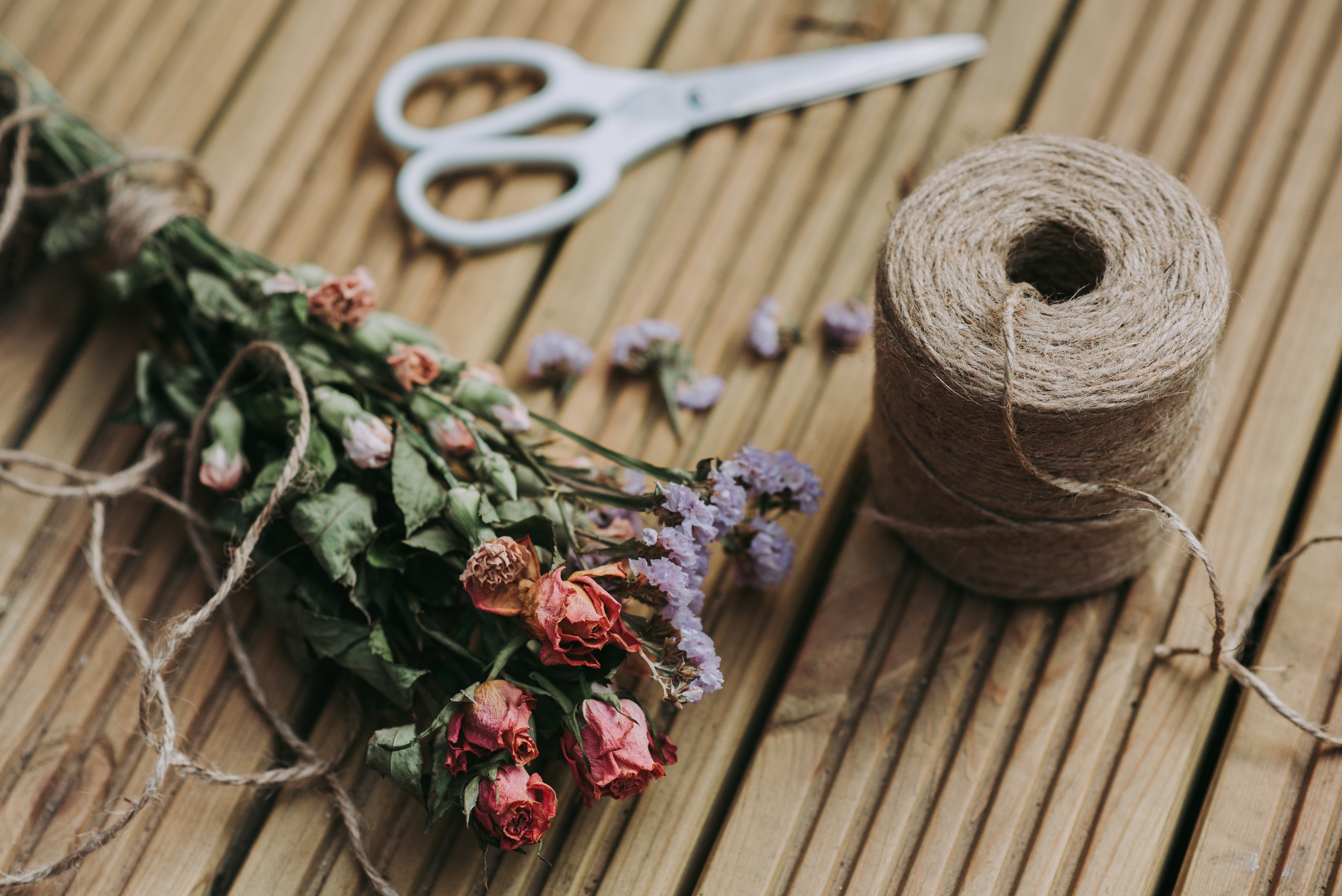 color-decoration-dried-flowers-1166416