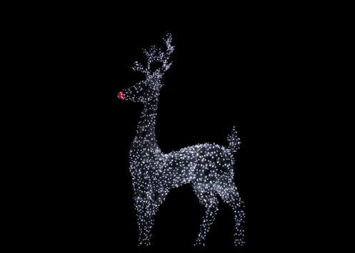 Reindeer lights