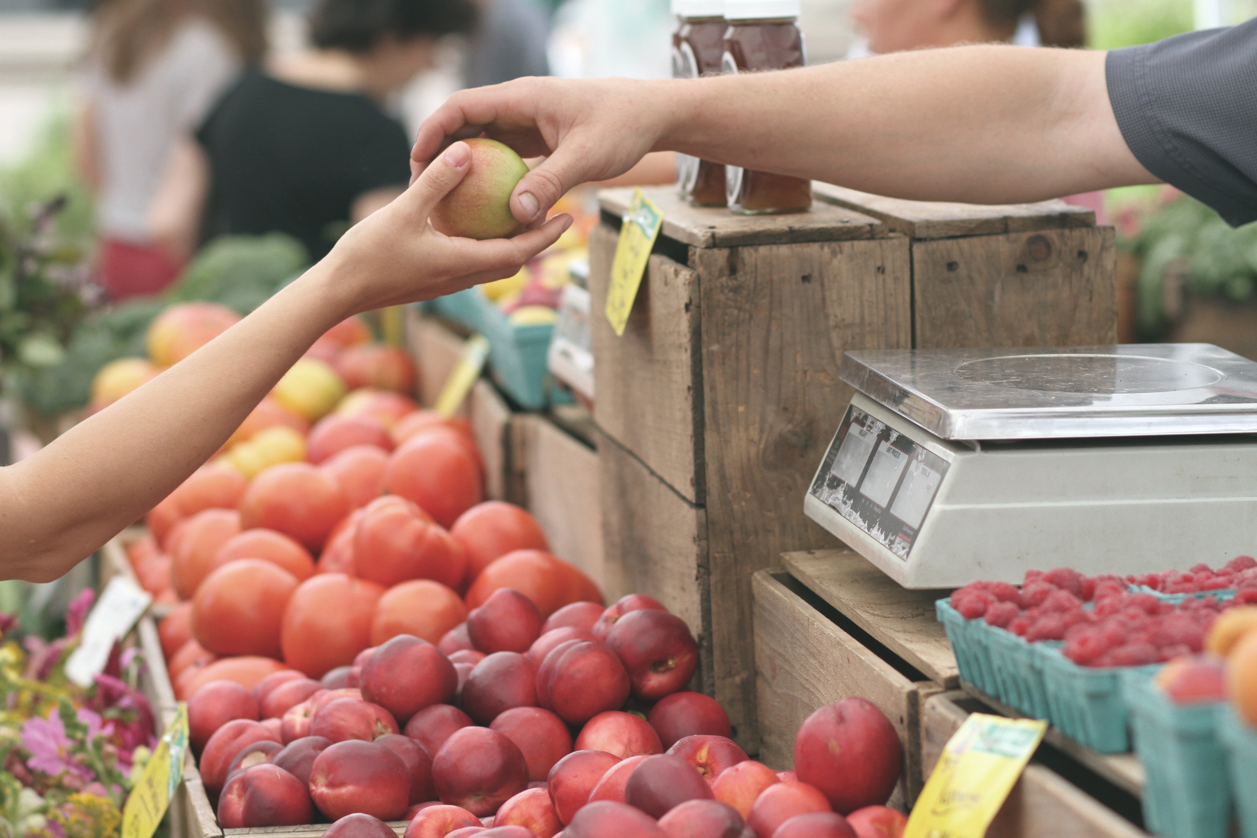 A Farmers' Market is fun for all the family