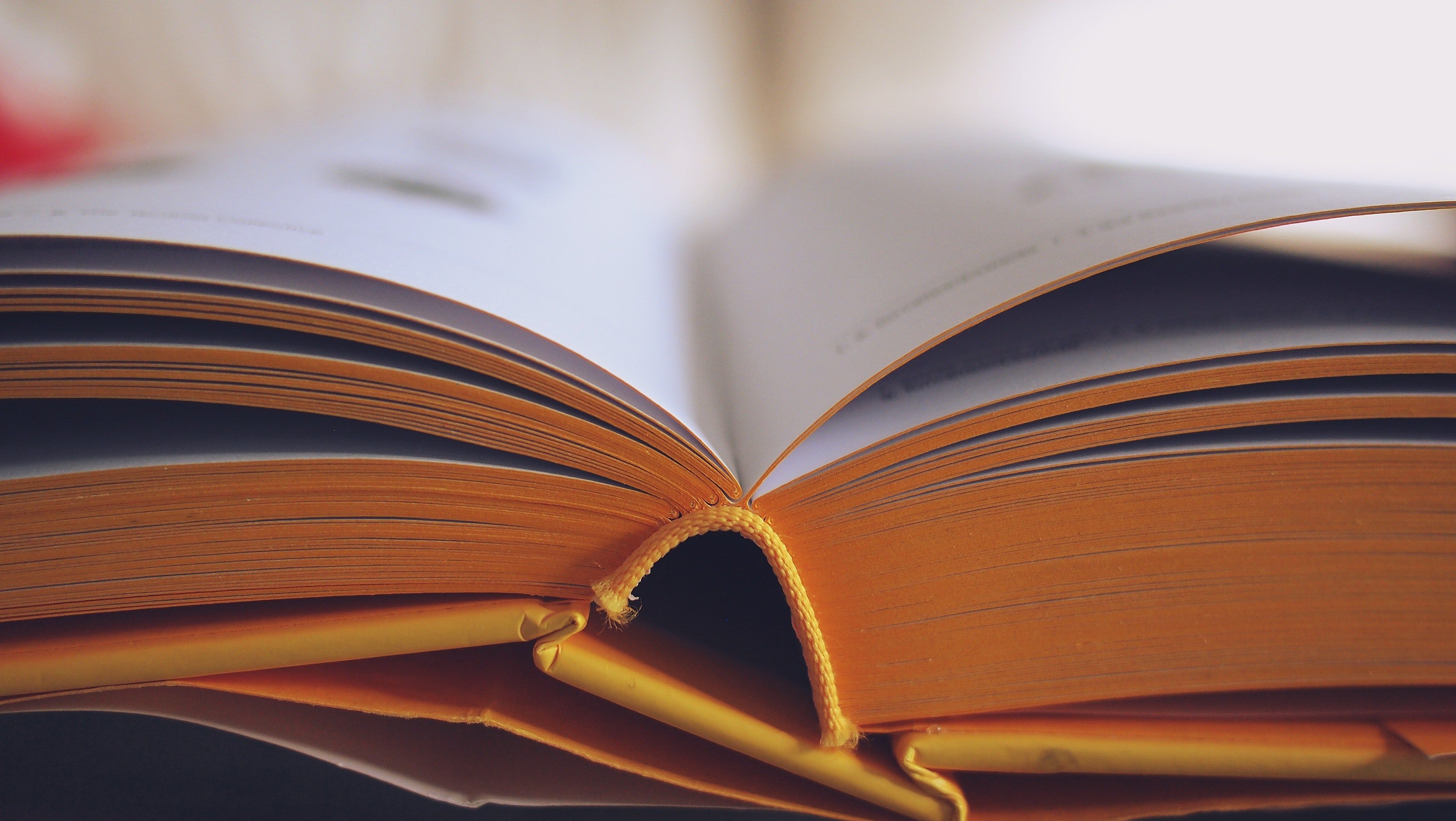 Times of the Day to Read With Preschool Children