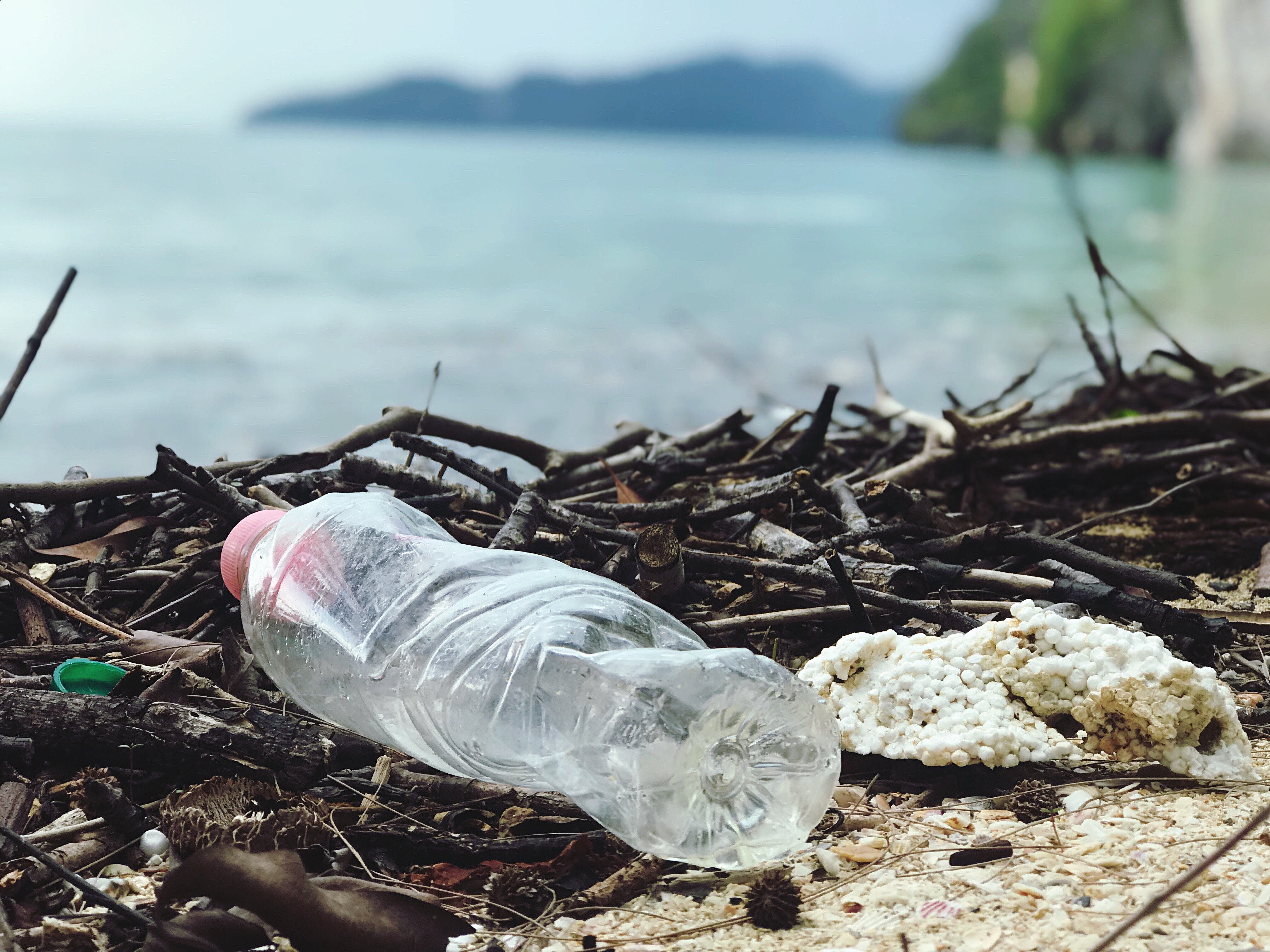 Single use plastics are a danger to the environment