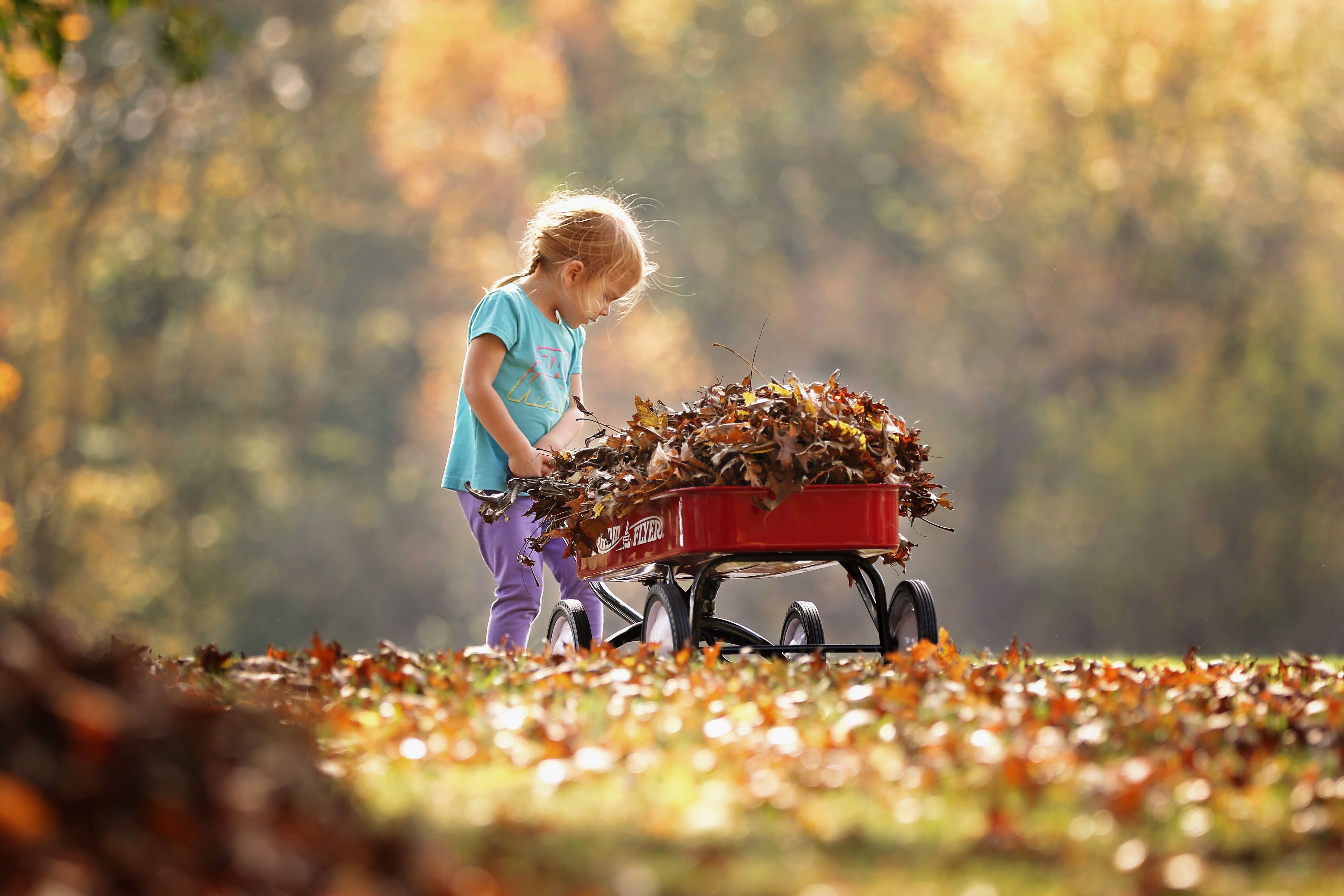 leaf art is a great way to embrace the season