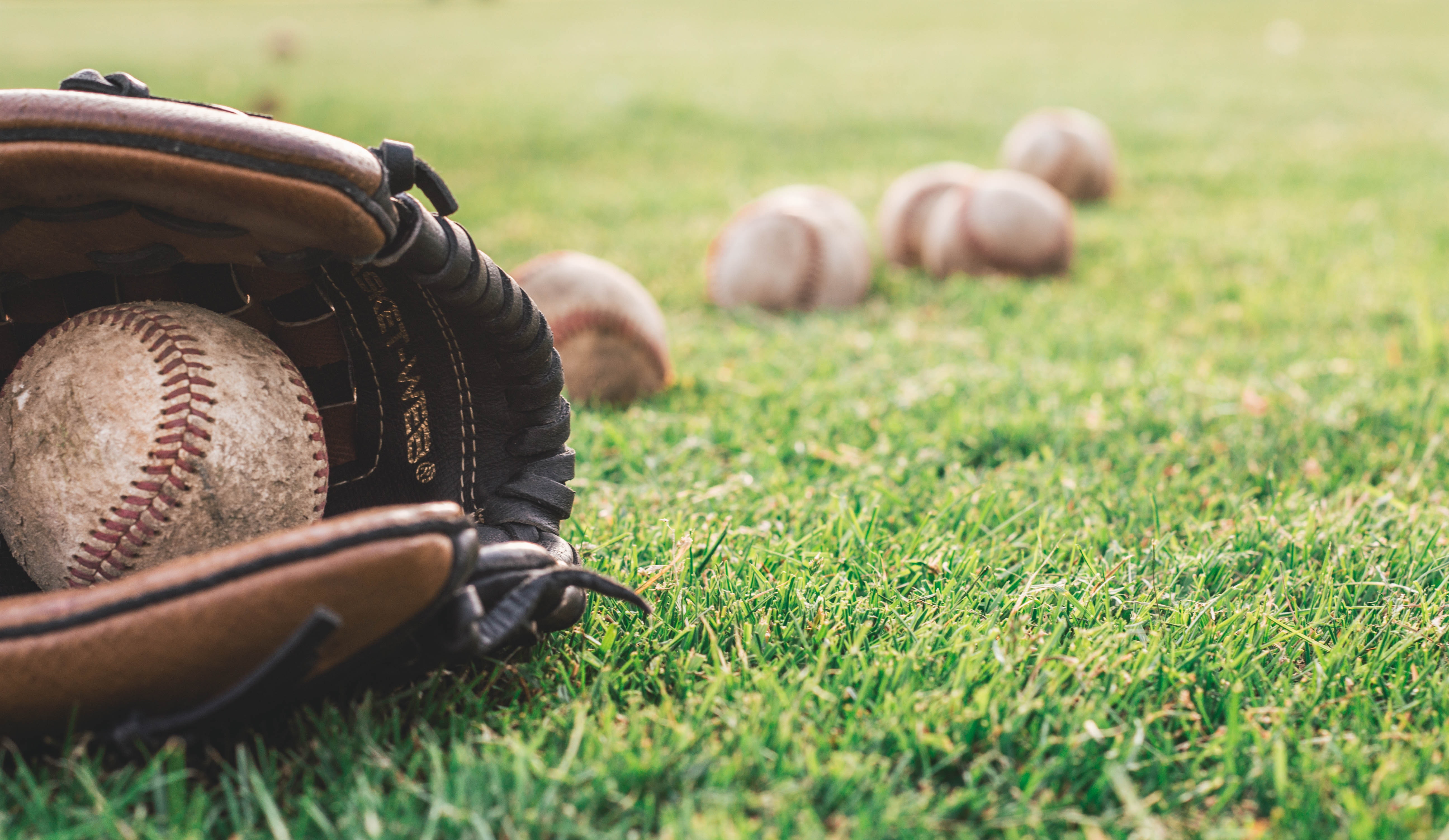 Enjoy baseball at San Leandro Ball Park