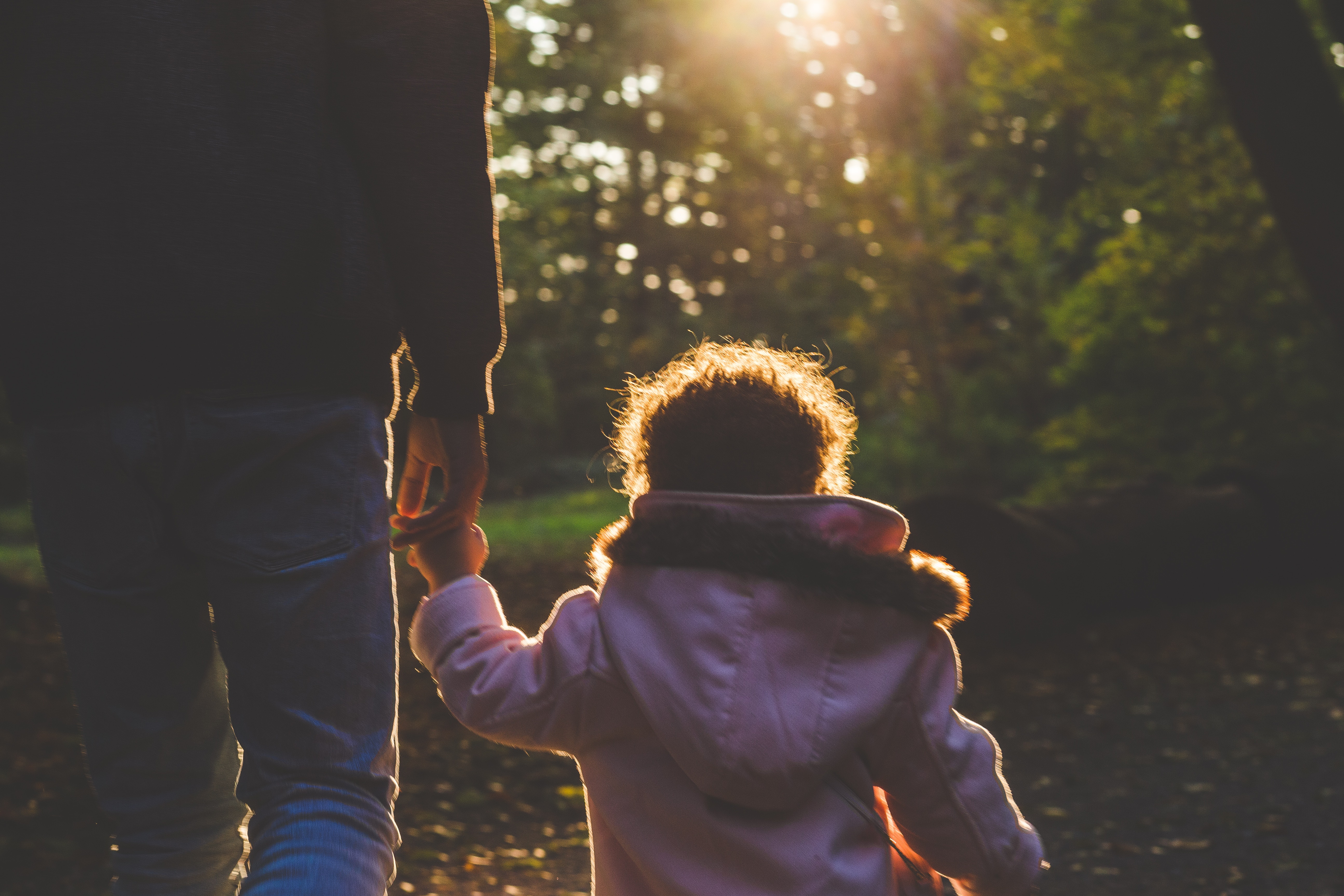 child-father-and-child-forest-173408